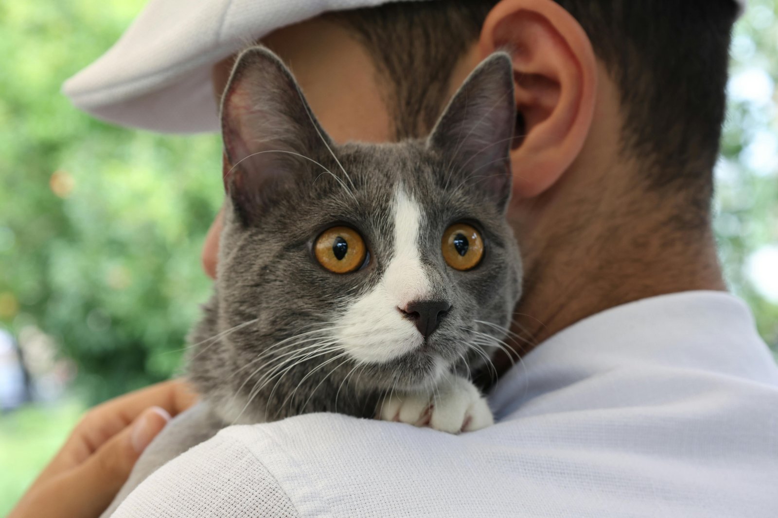 Our founder with their pet