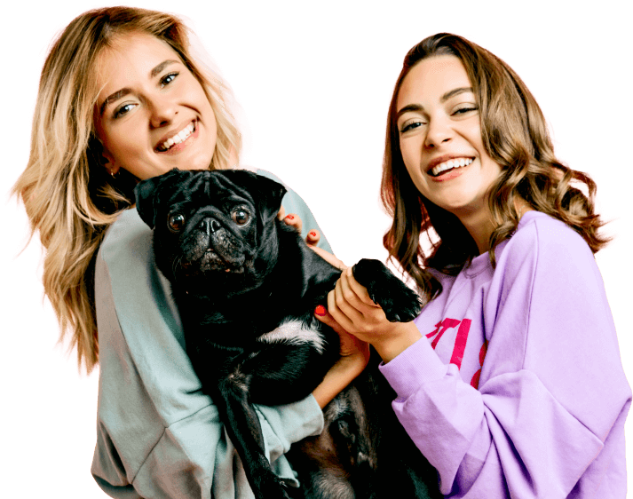 Automatic Pet Feeder - Smart Feeding Solution for Dogs and Cats